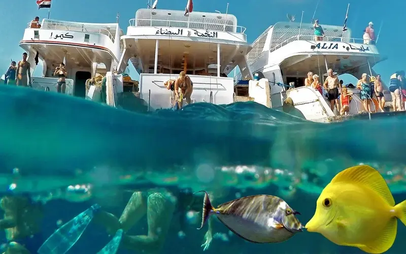 Sharm El Sheikh Tours